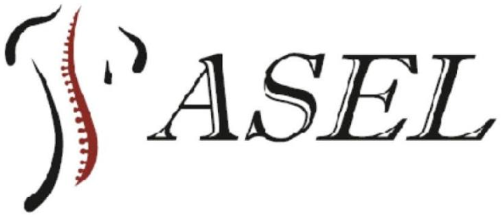 Asel Grup logosu